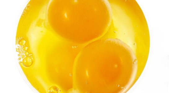 egg2-s.jpg